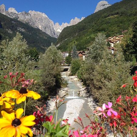 Villa Ginestra Molveno Δωμάτιο φωτογραφία